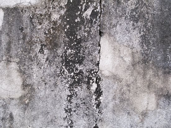 Mildew & Mold buildup before pressure washing